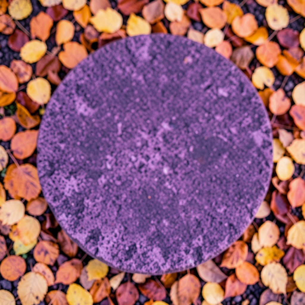 Overhead view of a circular stone bench surrounded by autumn leaves in orange and gold tones